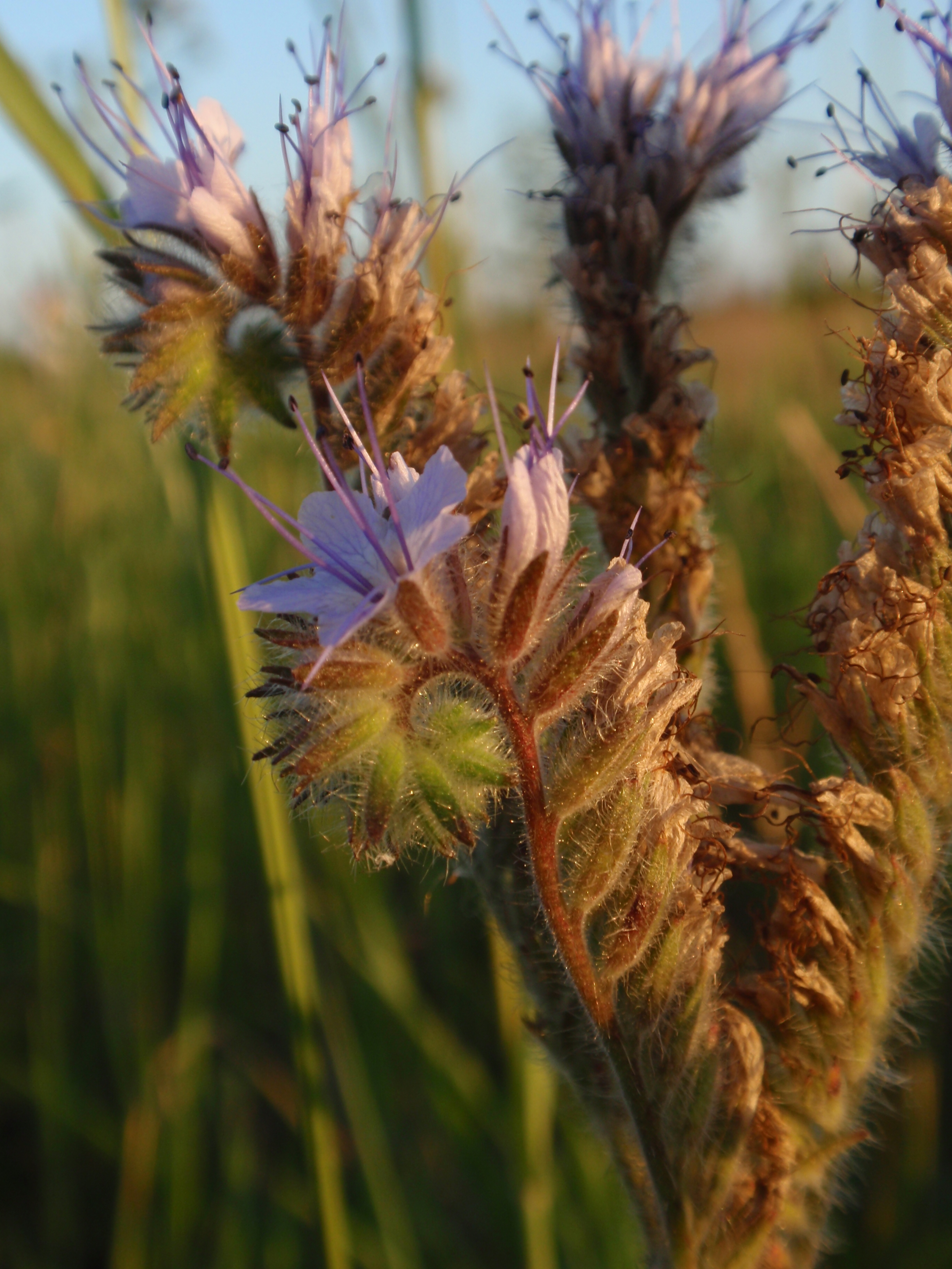 prachtig met de zon erop
