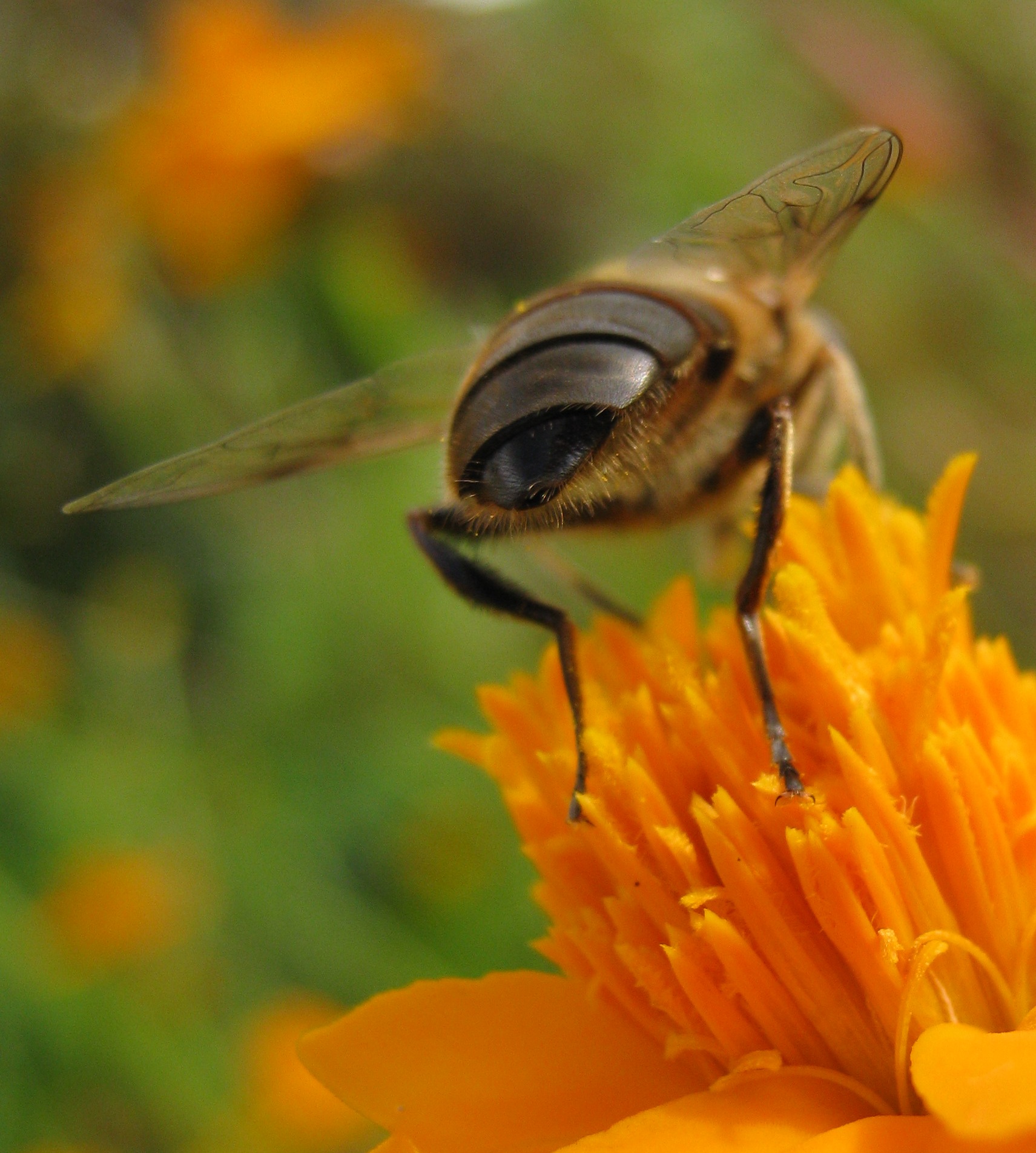 en zo zie ik er van achteren uit....