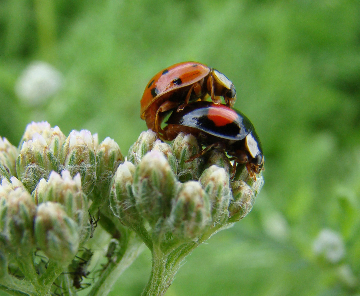 samen leuker dan alleen