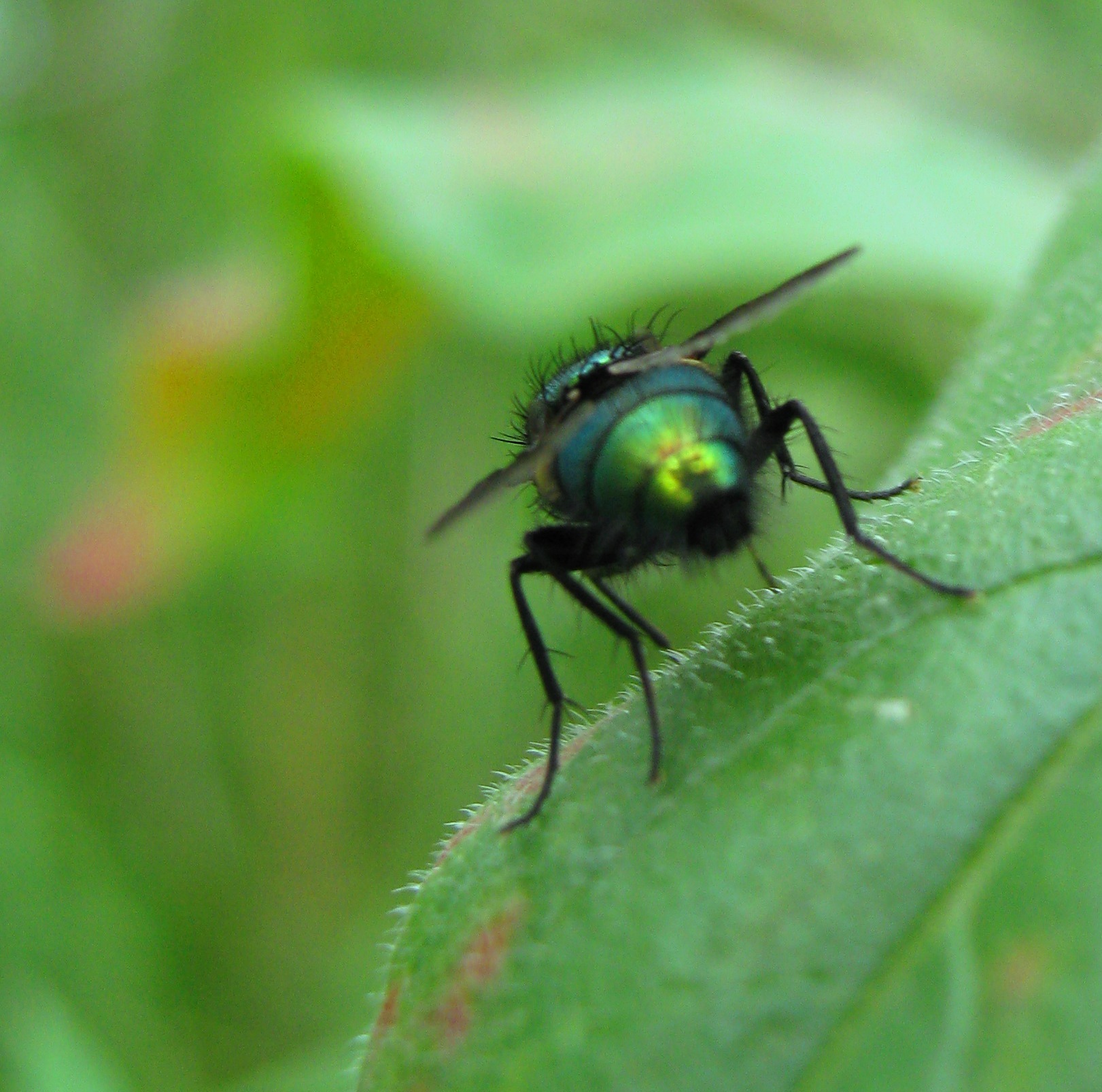 de wijde wereld in...