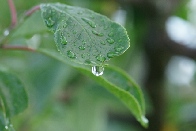 Deze druppel deed de emmer net niet overlopen