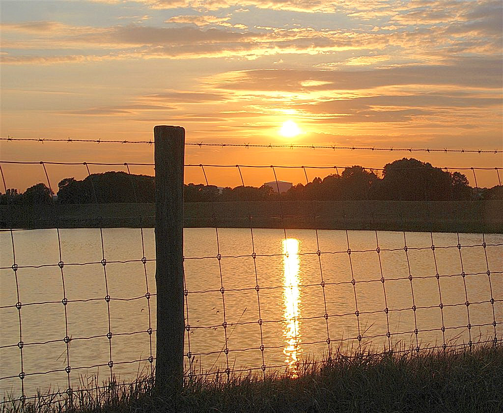 Zonnige punt op de i.