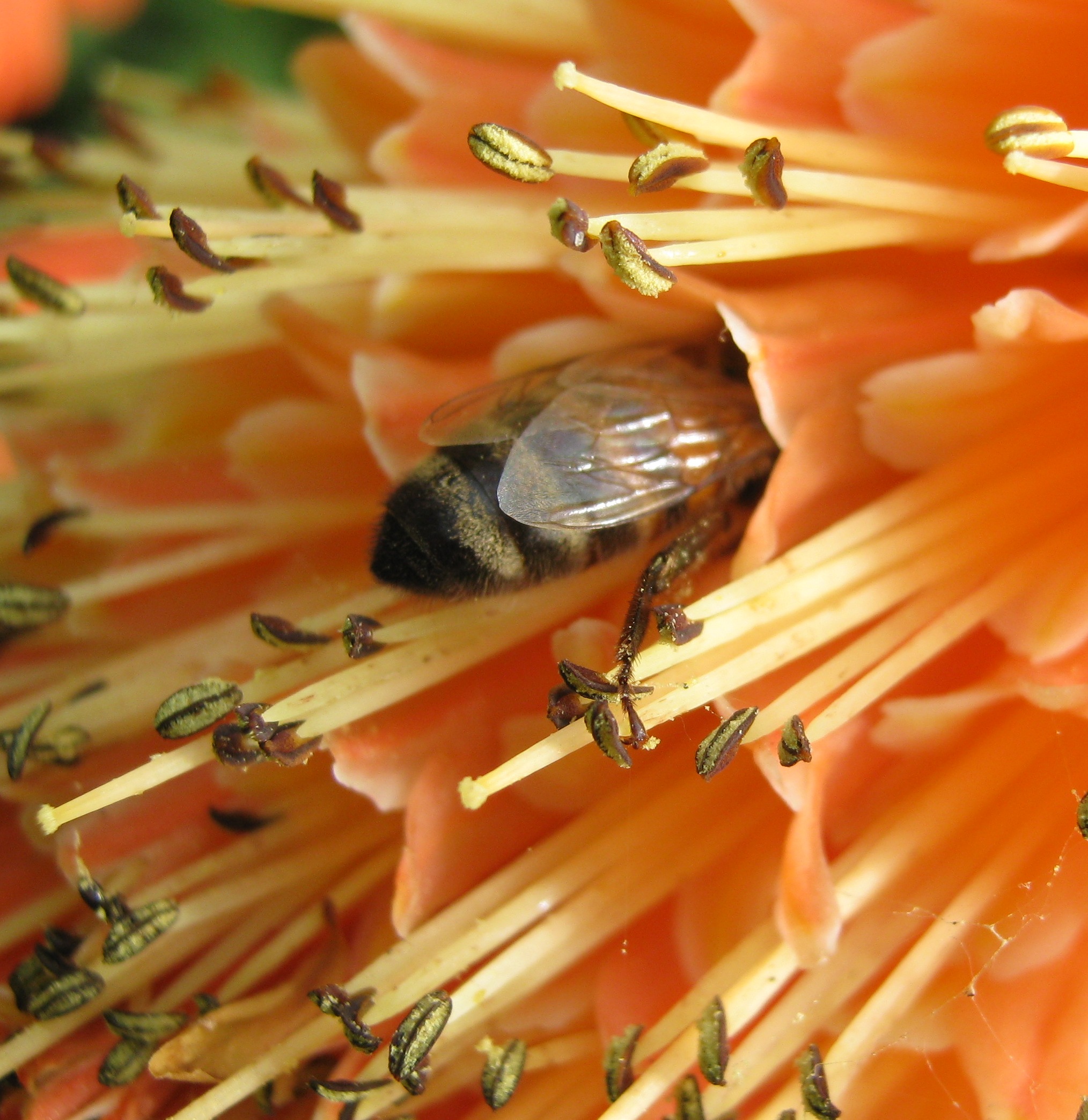 toch maar ff kijkje nemen...