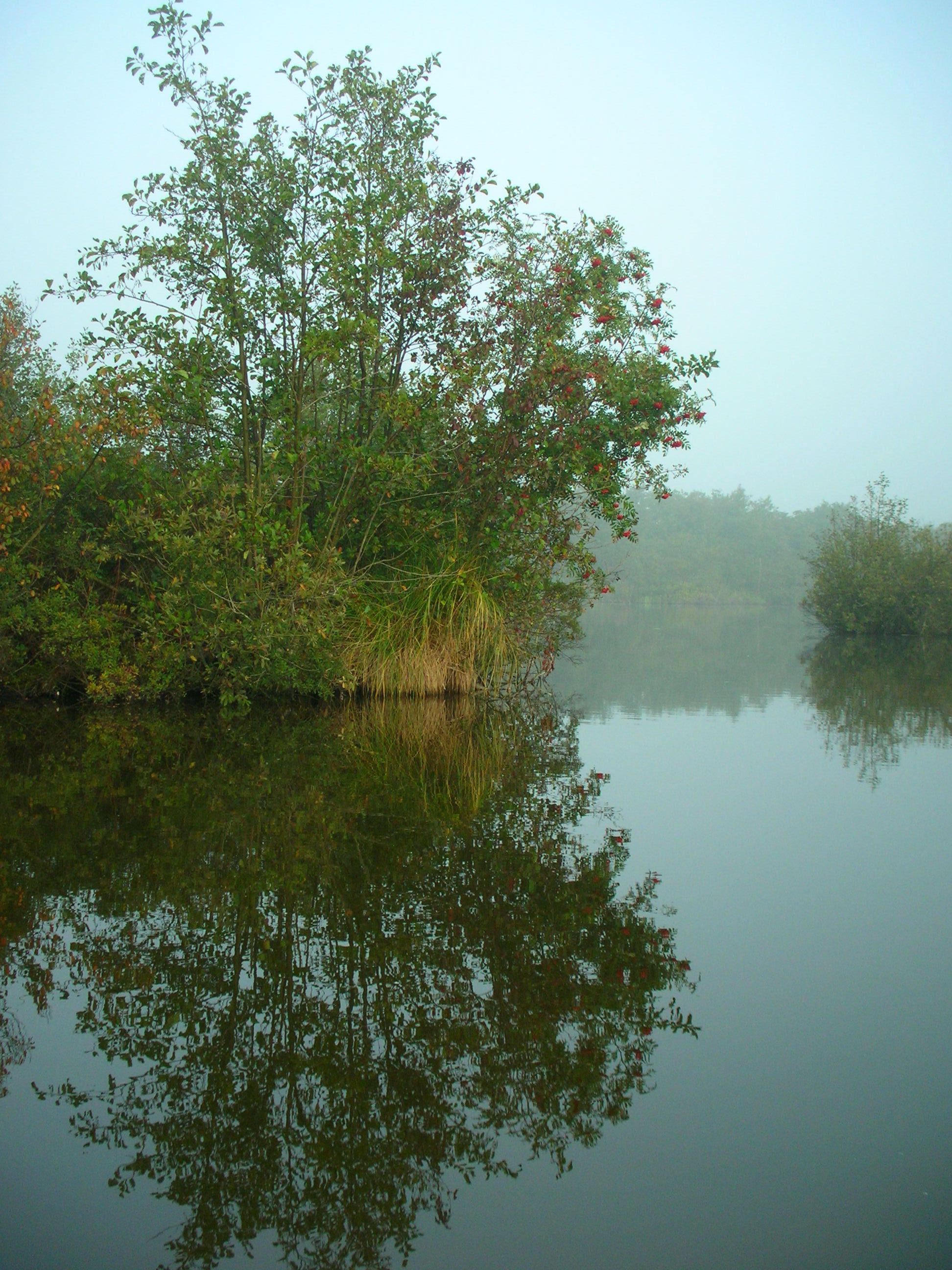 spiegeling Loosdrechtse plas