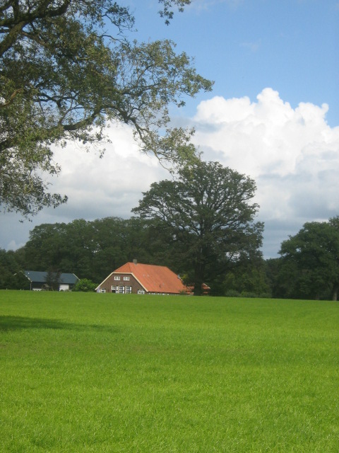 Landschap