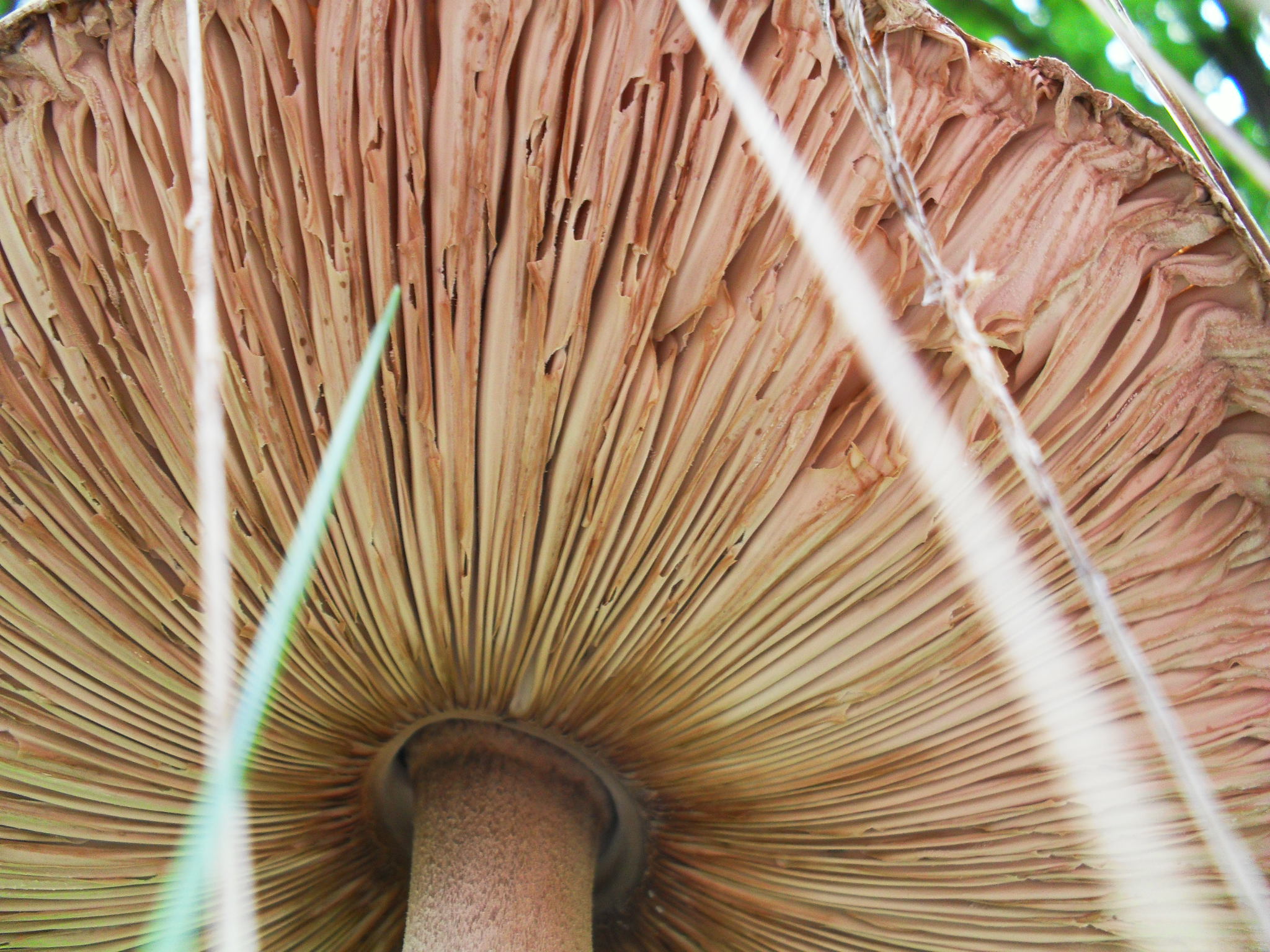 Eens van de andere kant bekeken