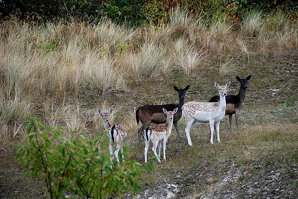 Waakzaam en nieuwsgierig.
