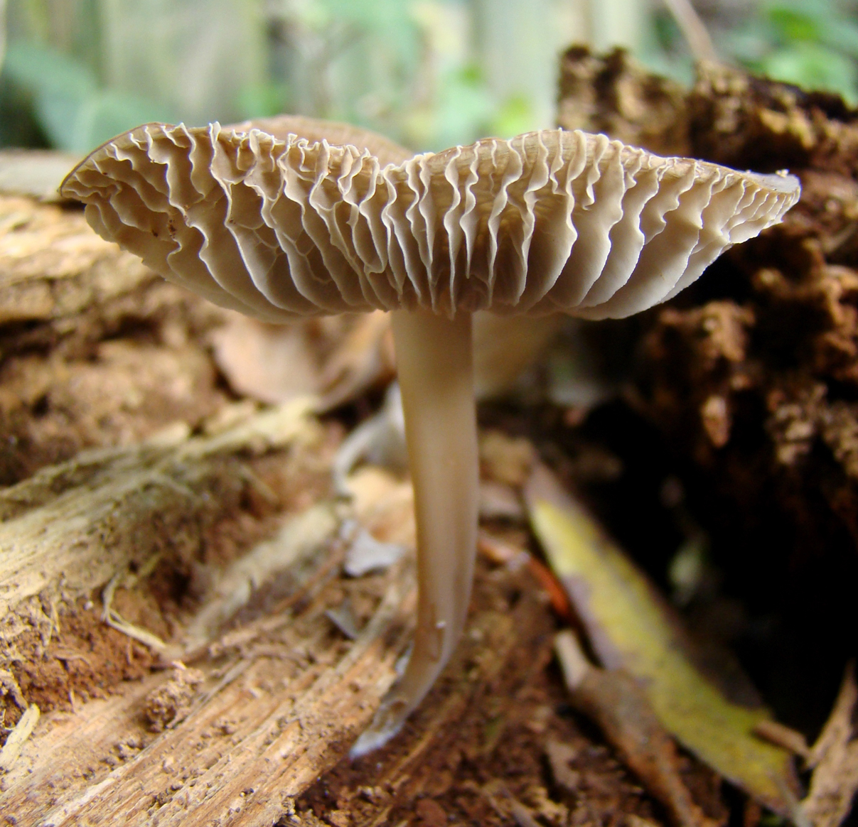 't Kostte wat moeite...