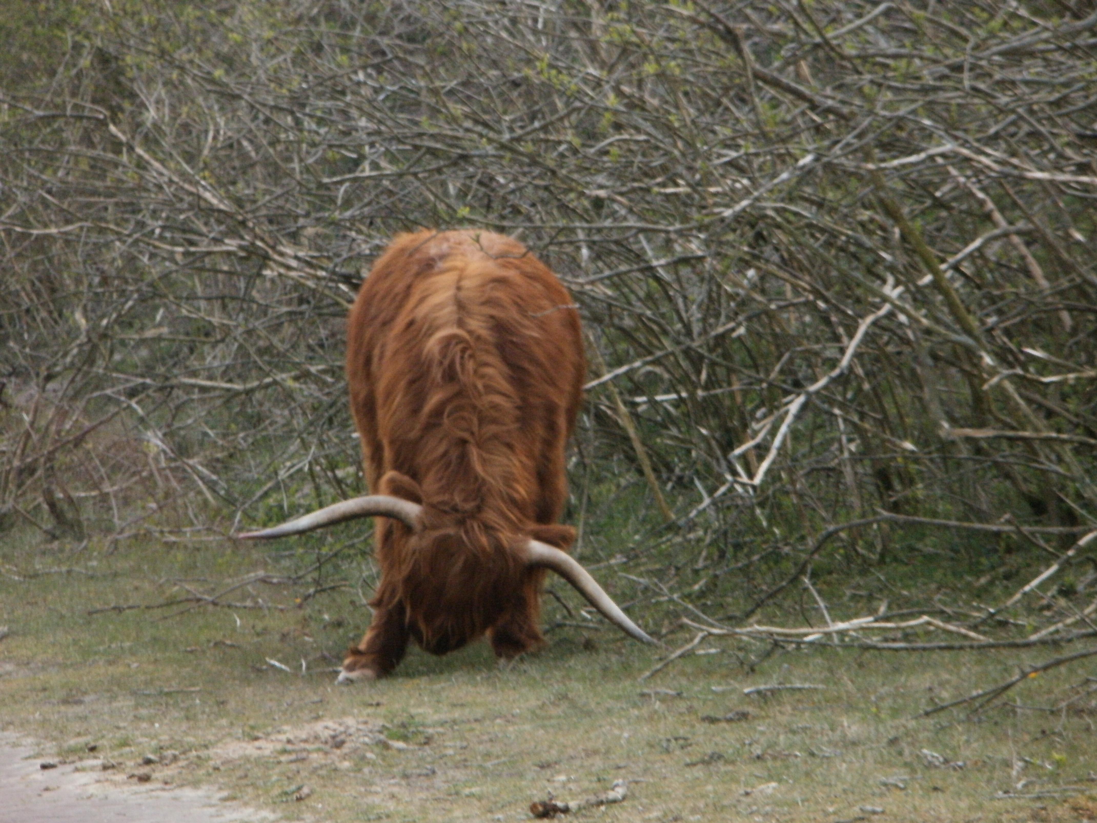 Imposante ontmoeting