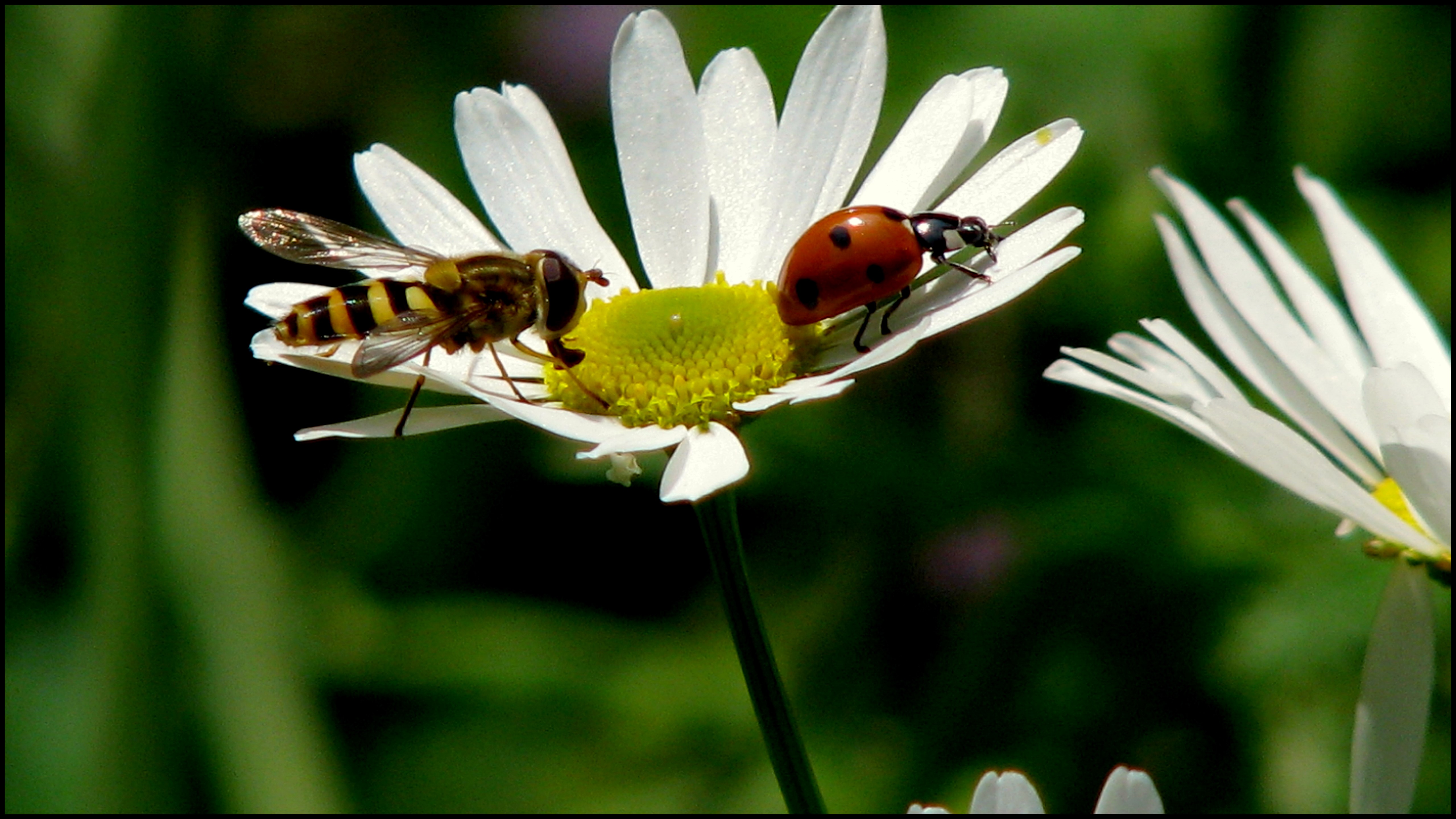 gezellig samen  op bezoek