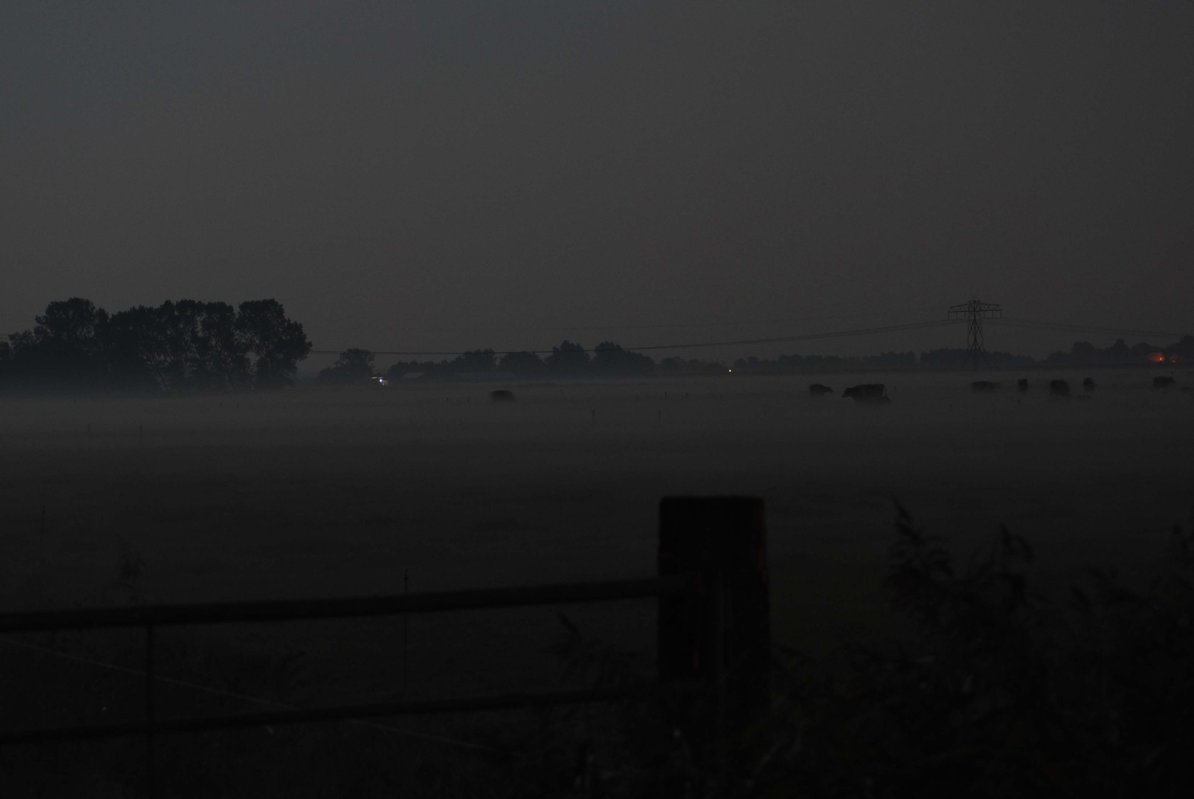 overschild 's avonds