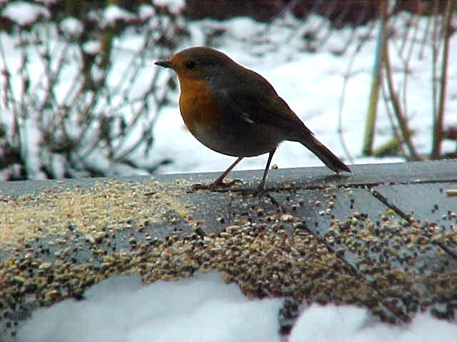 even wat eten want het is weer winter