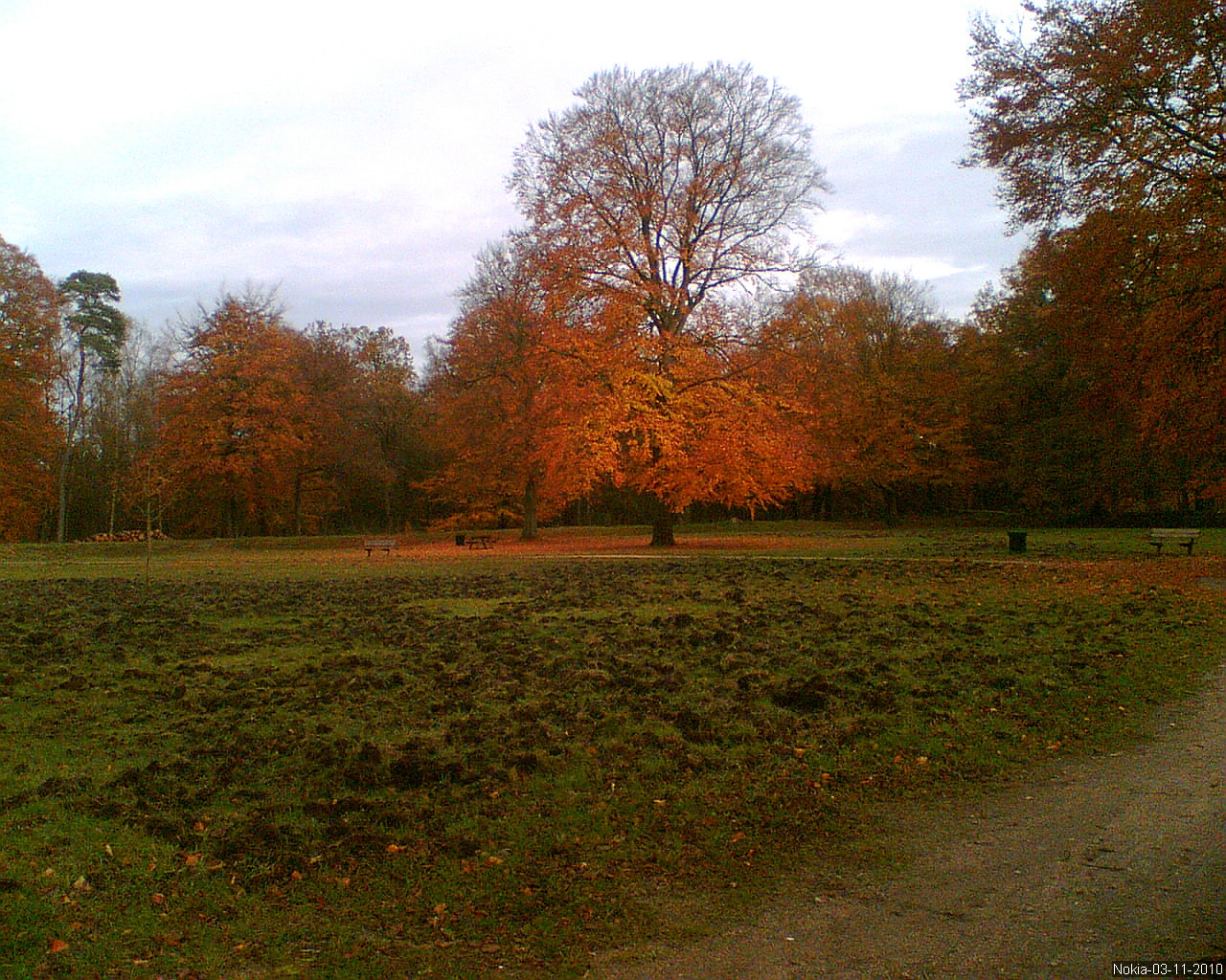 Herfstkleur