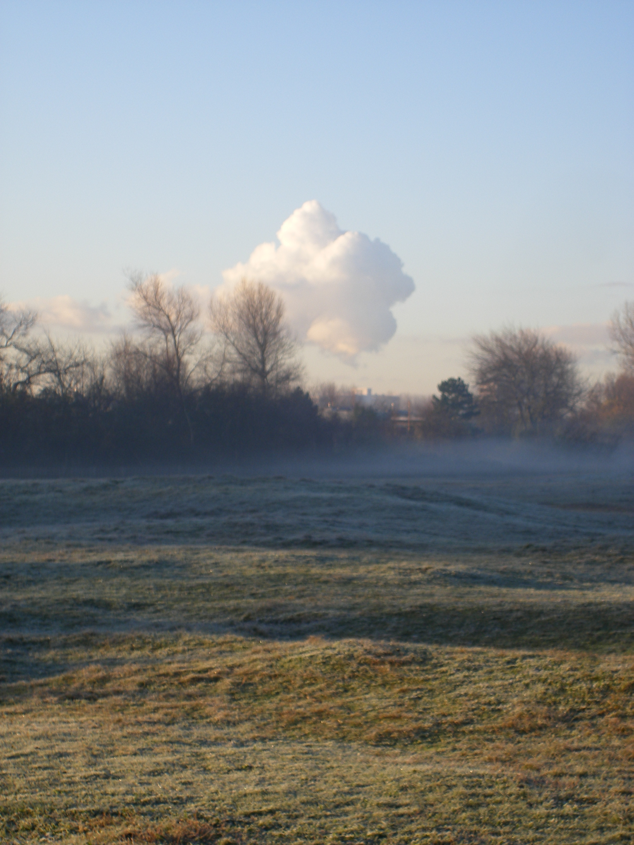 Mist