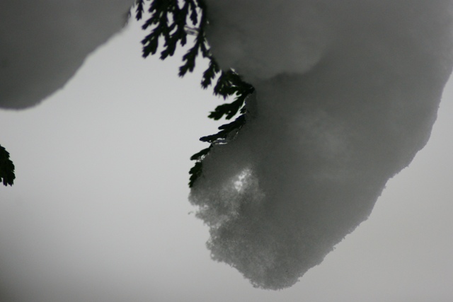 Doorkijk waar men stil en dromerig van wordt