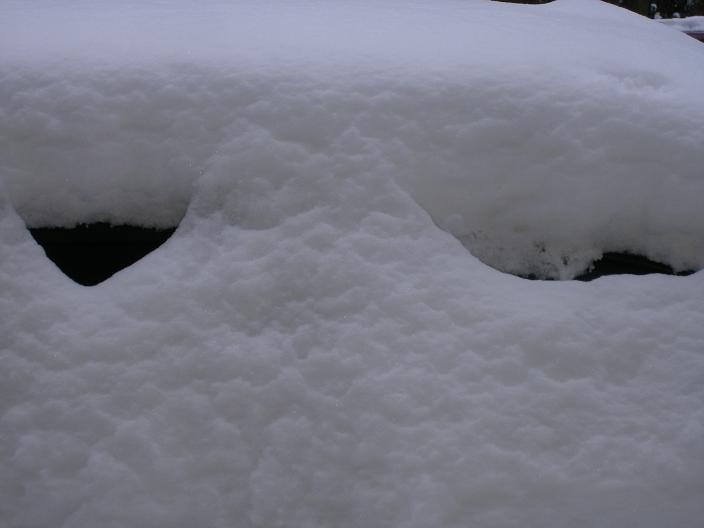 sneeuwmonster
