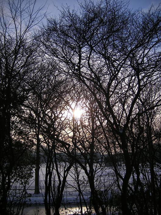 waterig zonnetje