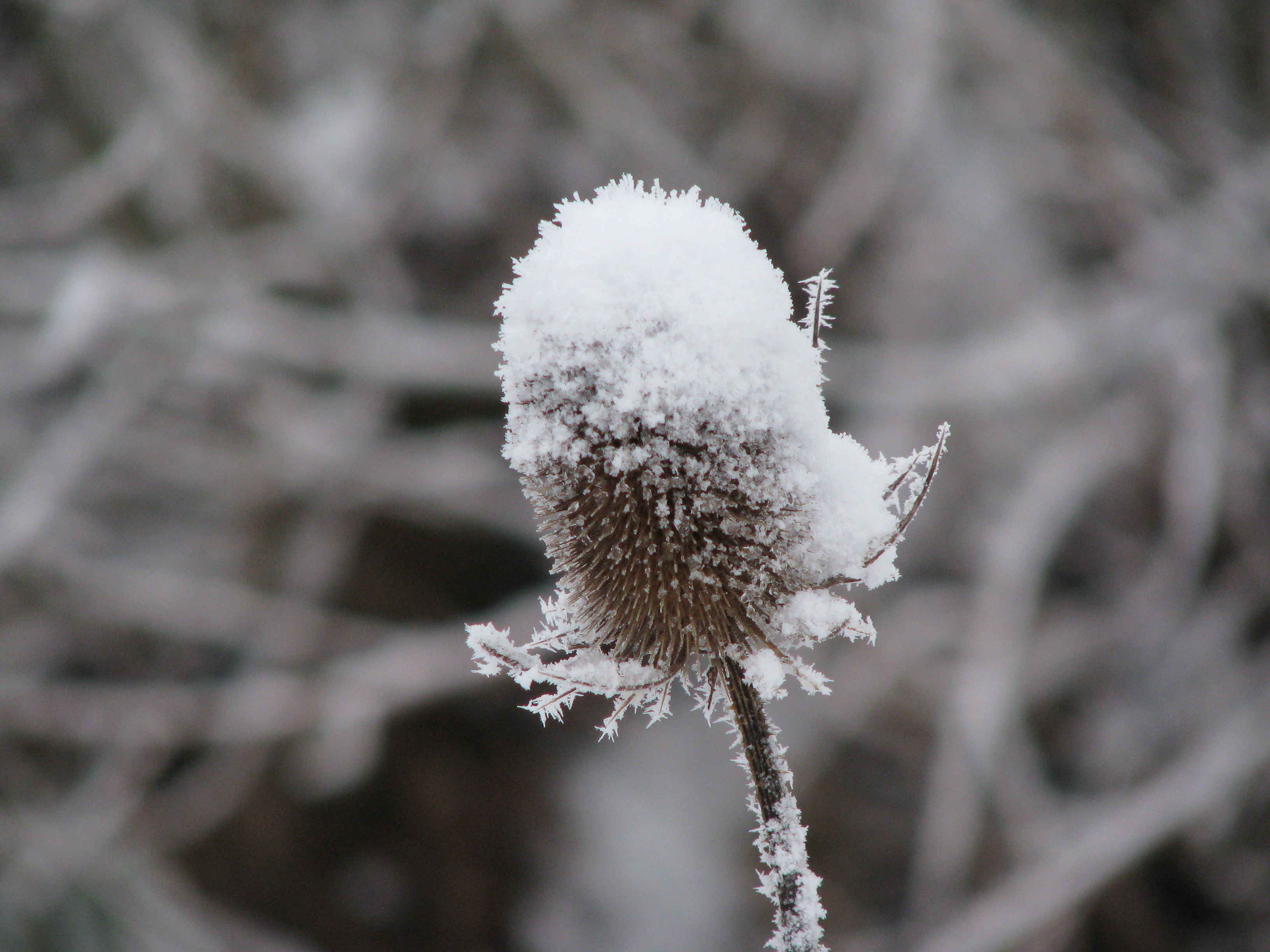 een hoedje van sneeuw