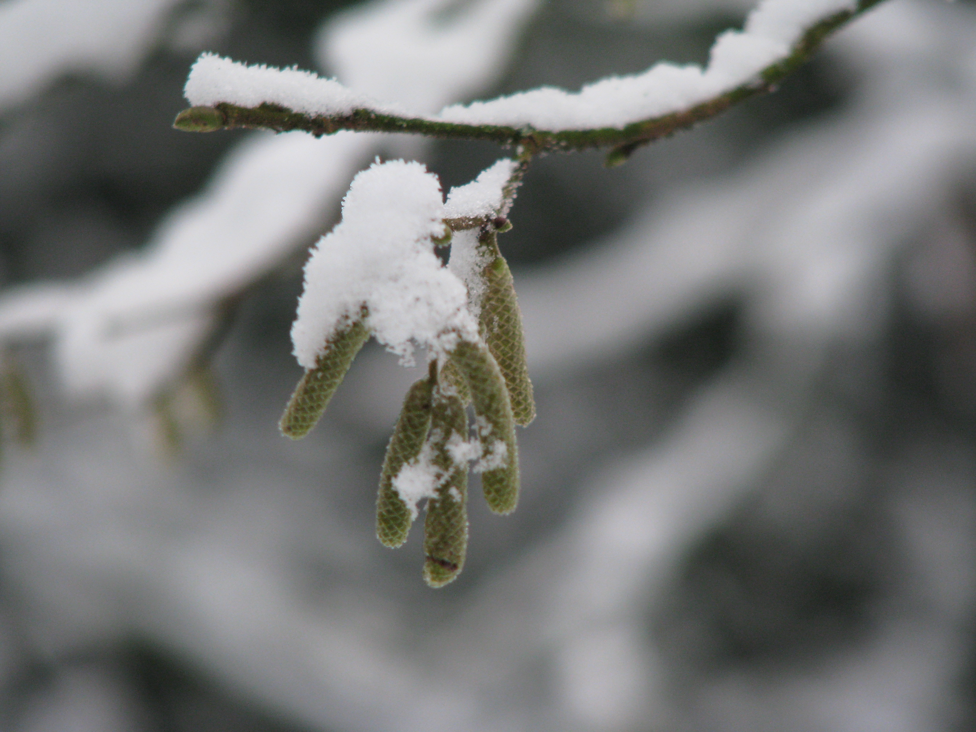 de lente duurt nog even