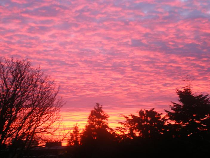 Morgenstond heeft...
