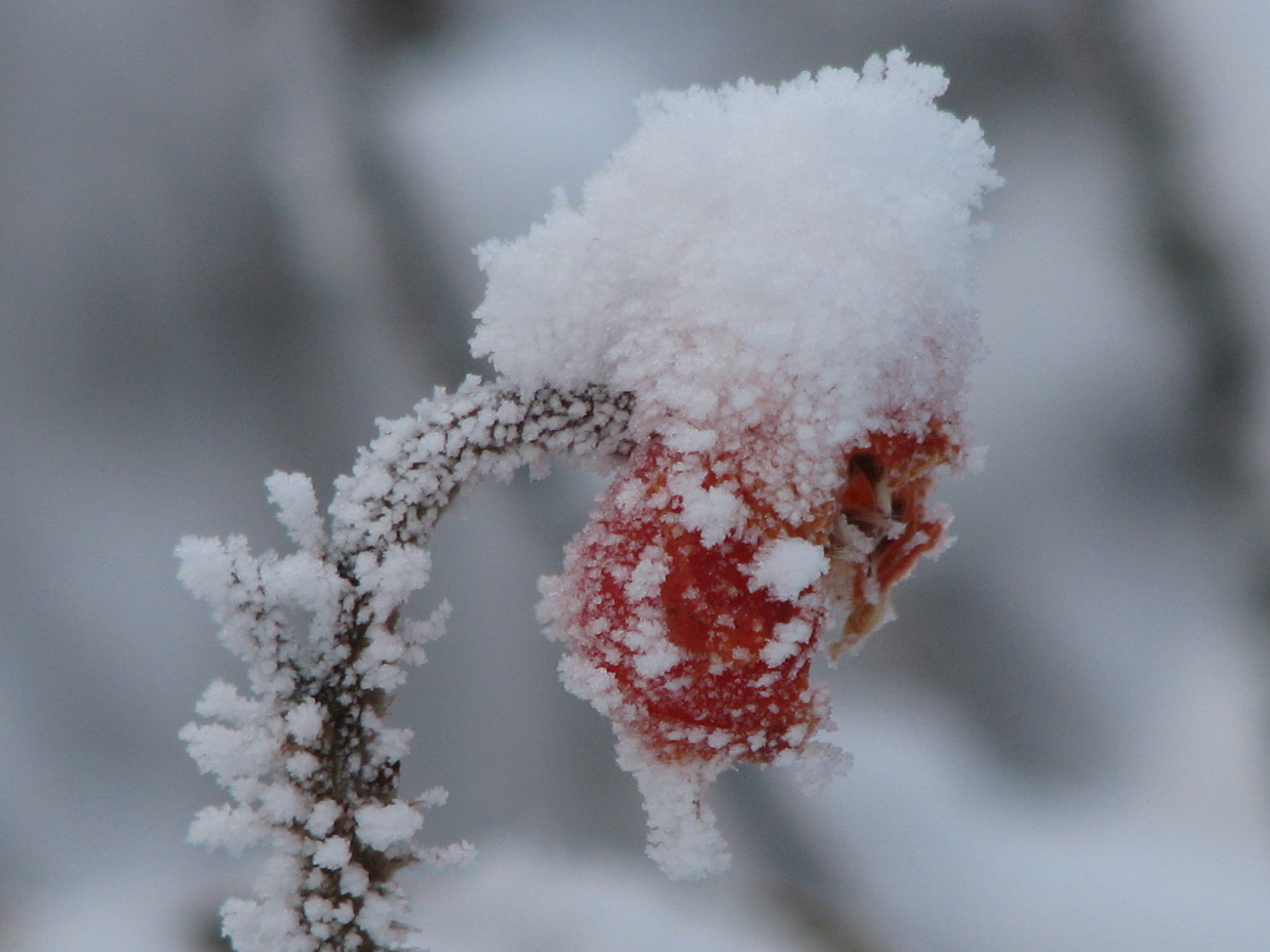 een hoedje van sneeuw