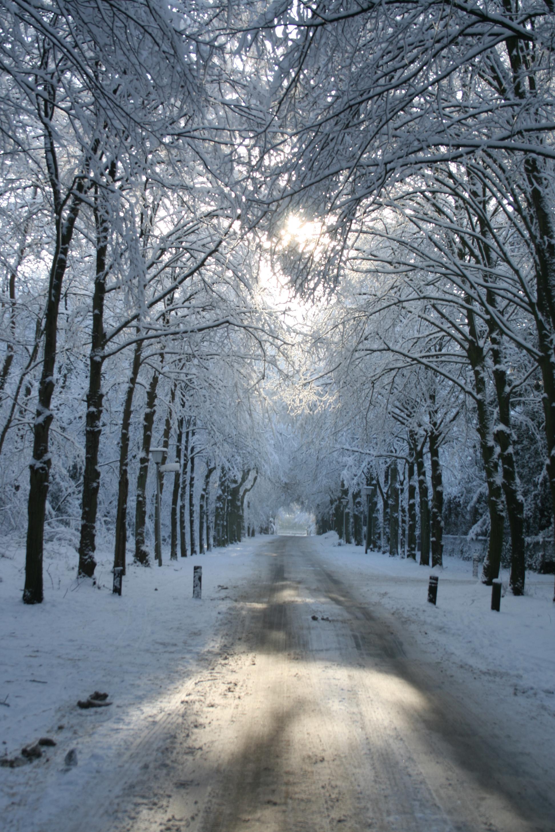 Winter 2010 1
