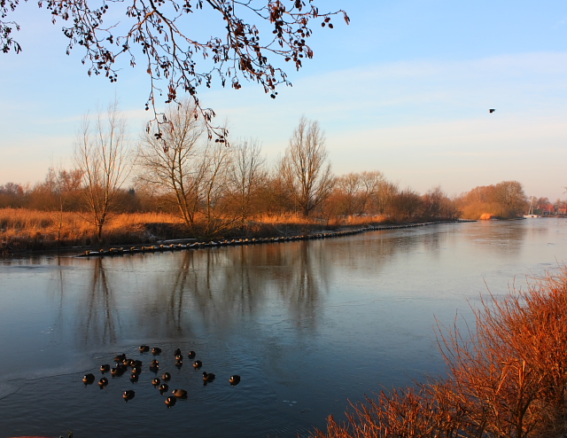 de vecht in rust