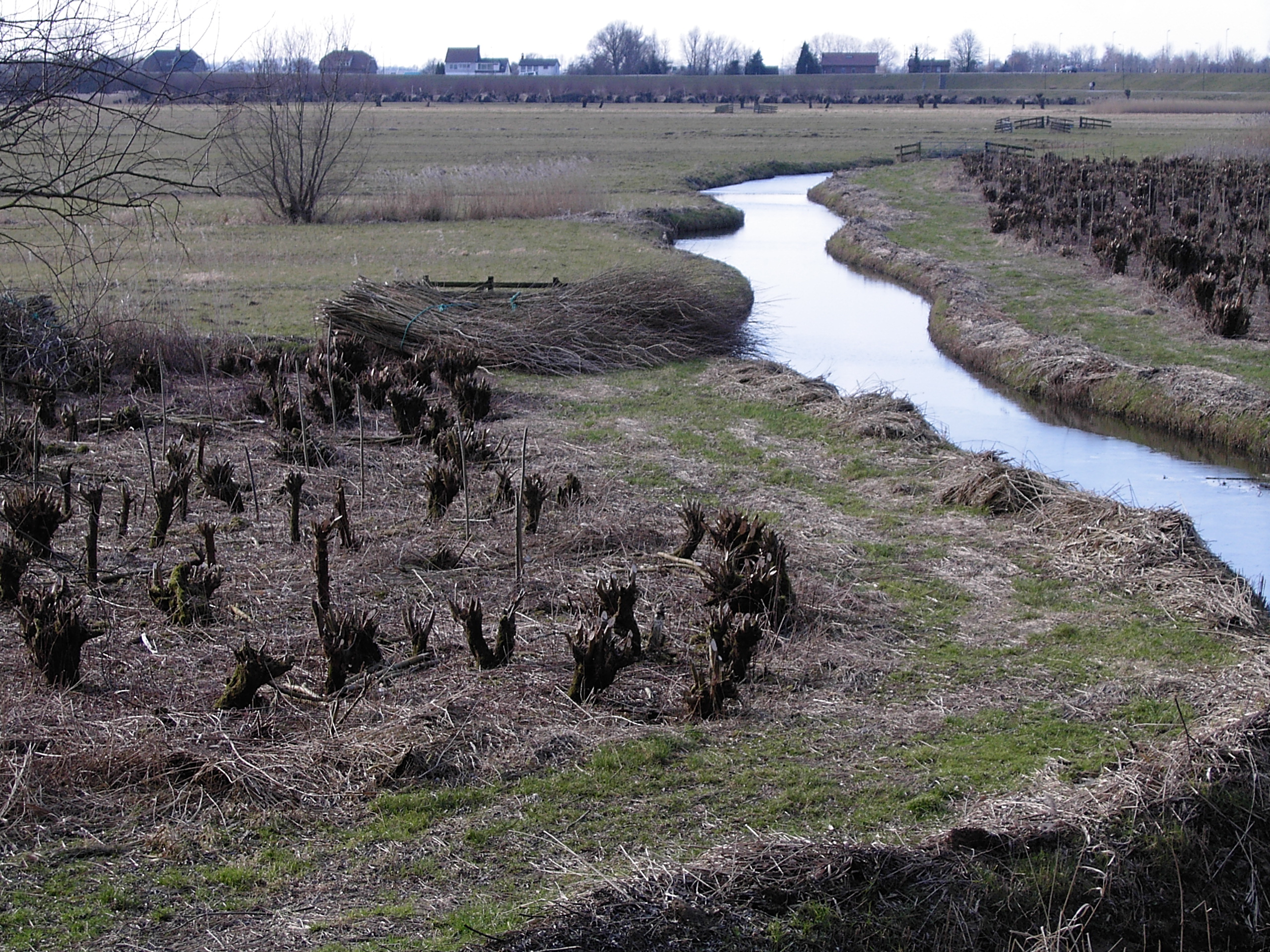avelingen beneden dijks