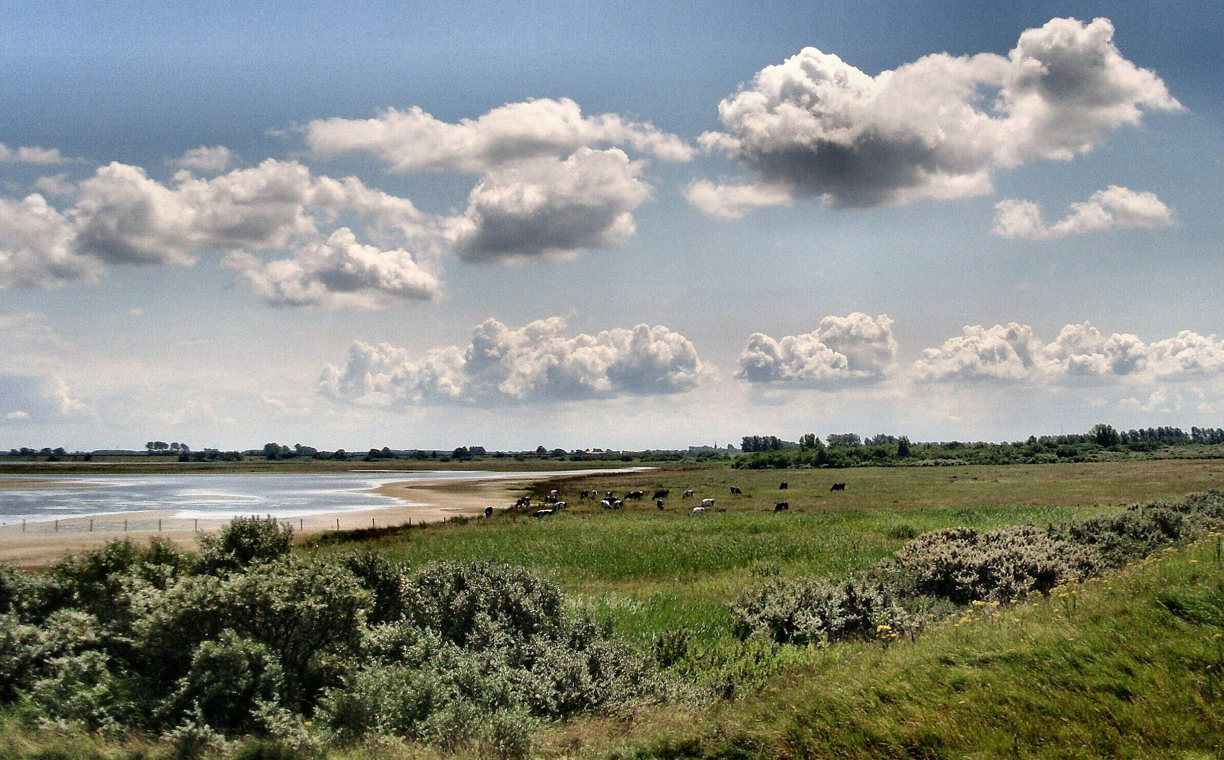 natuurgebied Bommenede te Zonnemaire