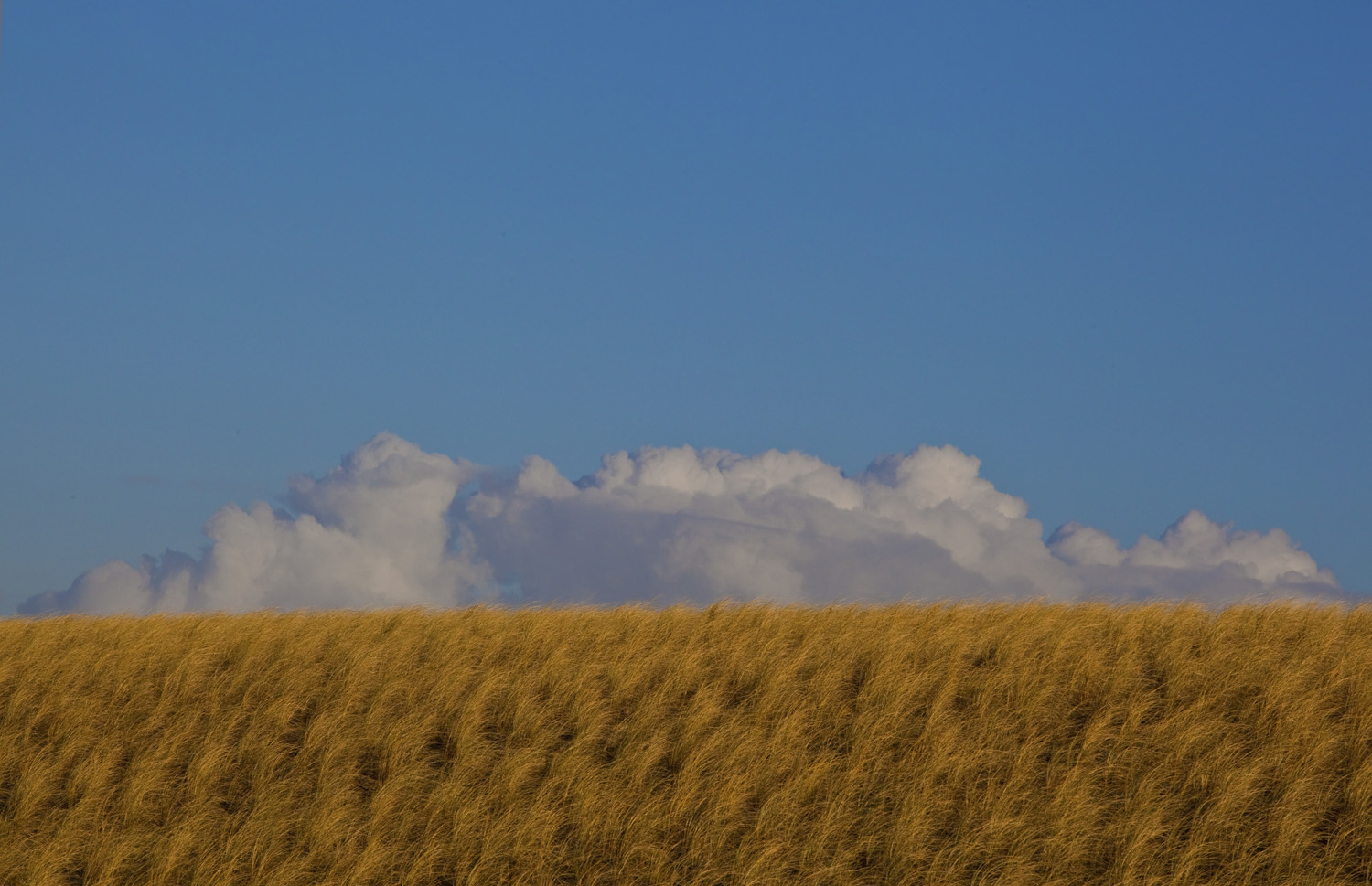 wolken boven duinen