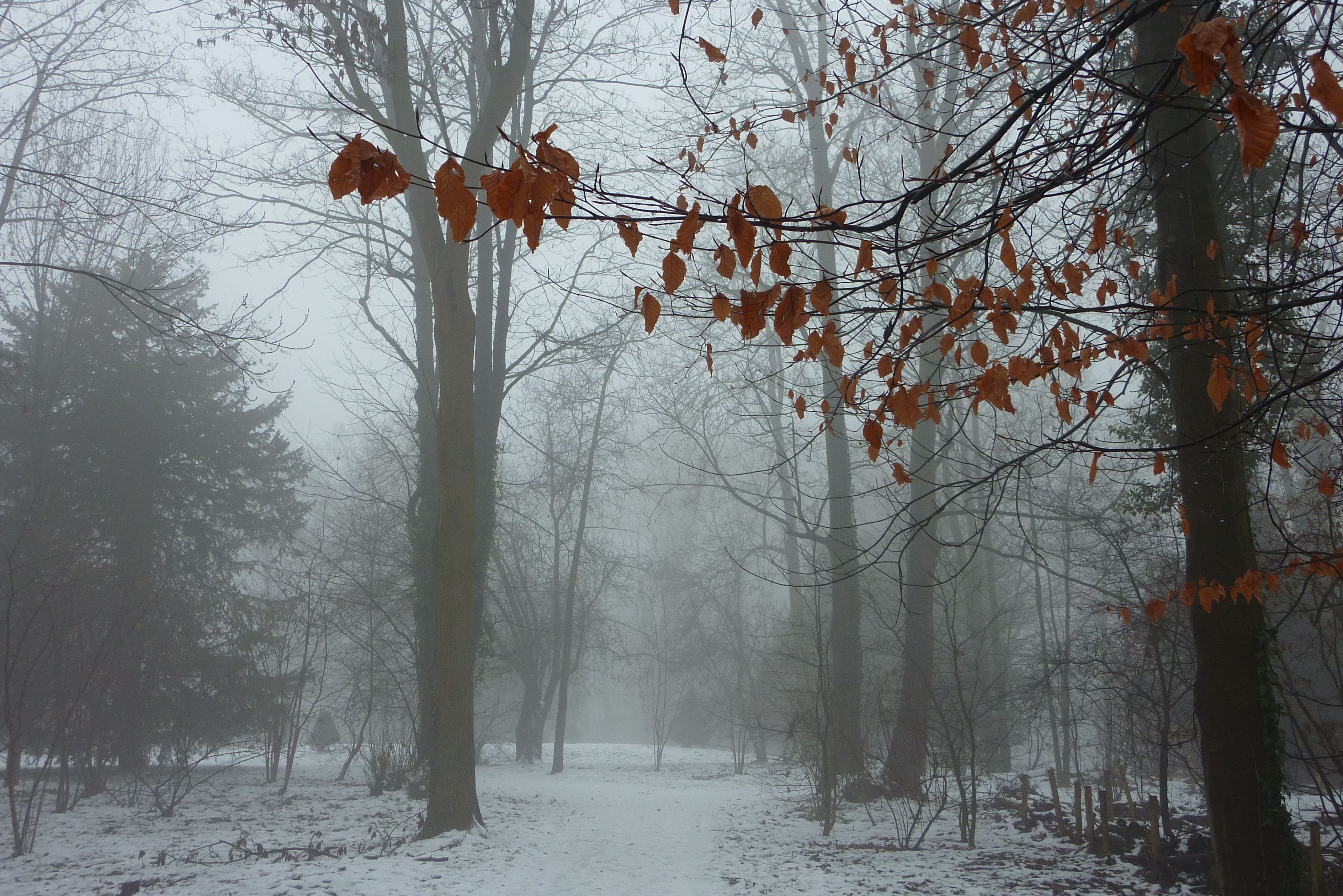park de elzenpasch te tiel