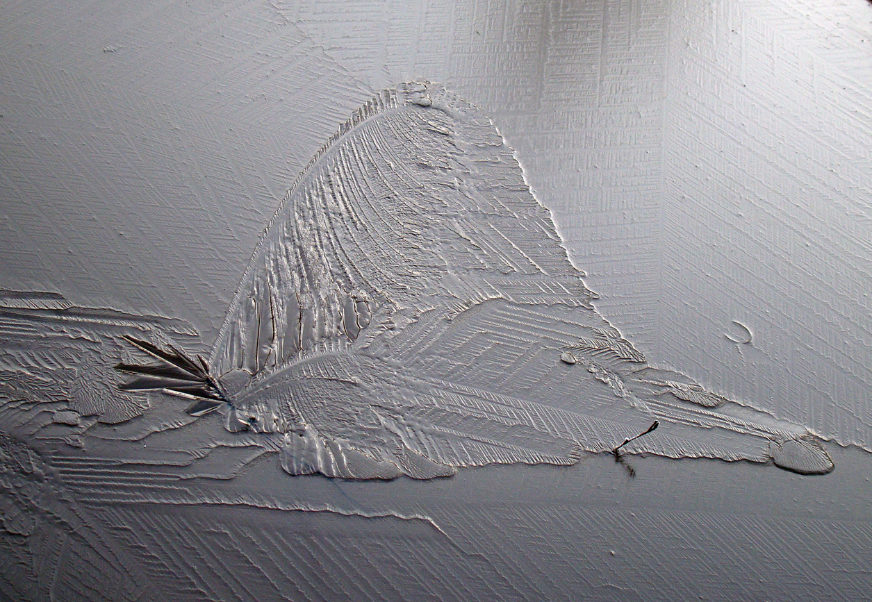 vlinder, gevangen in ijs