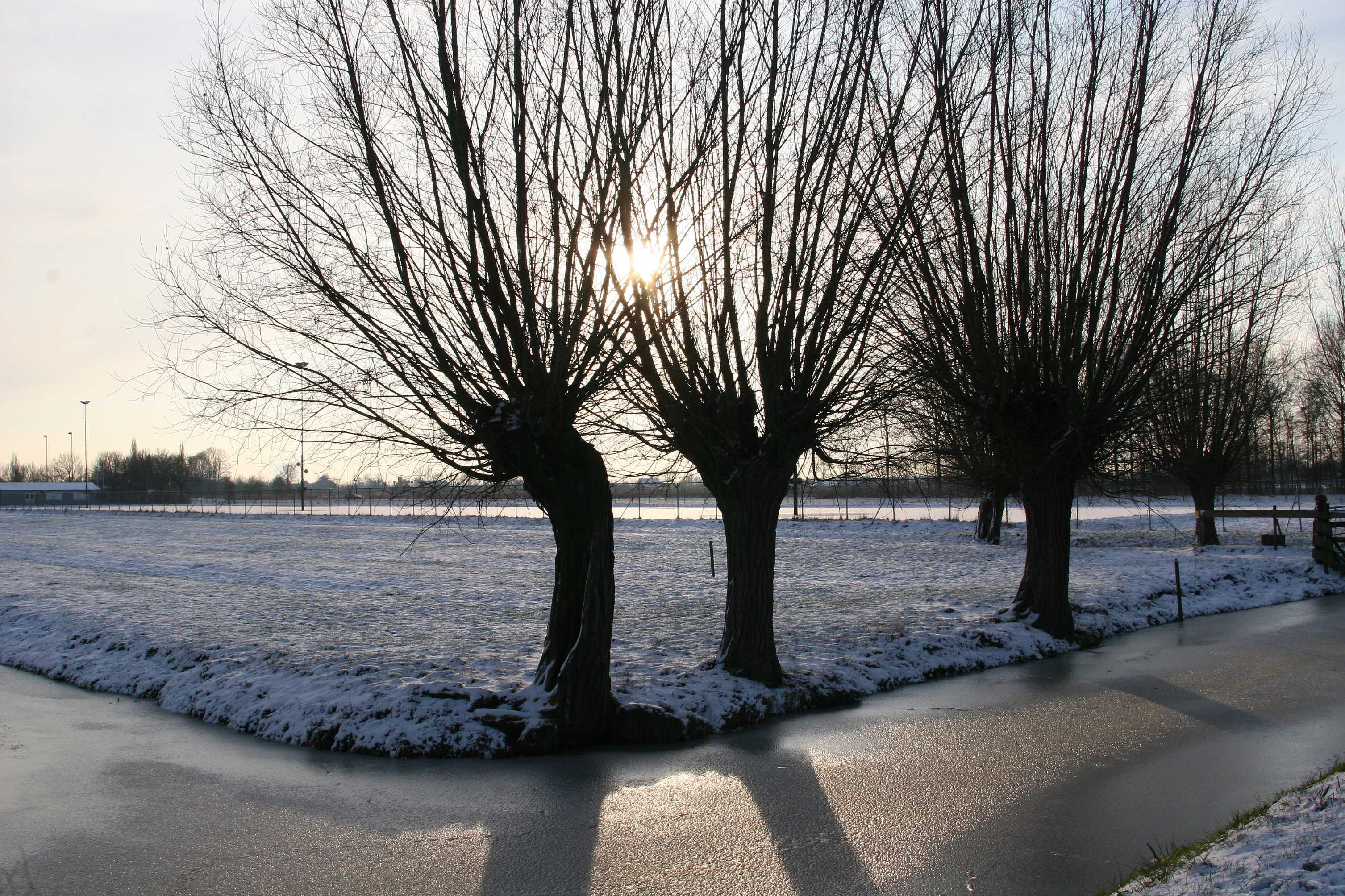 landscheiding schelluinen