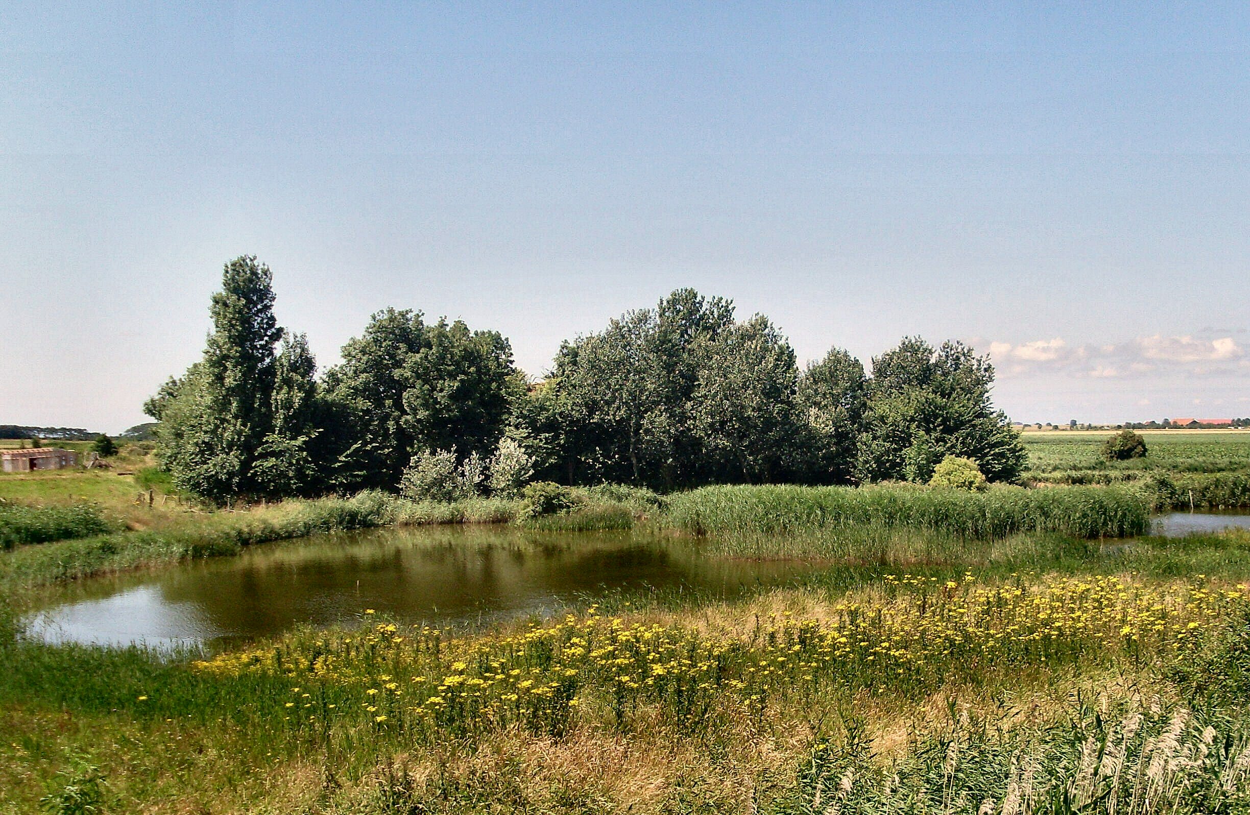 En mooi plekje in Zonnemaire