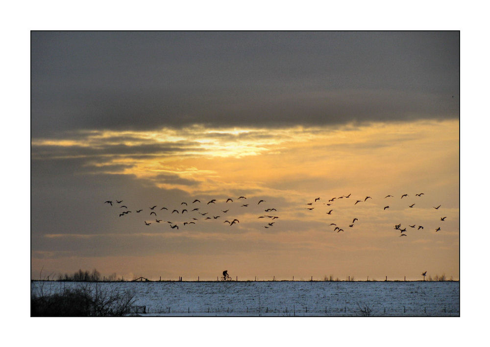 Hommage aan Boudewijn de Groot