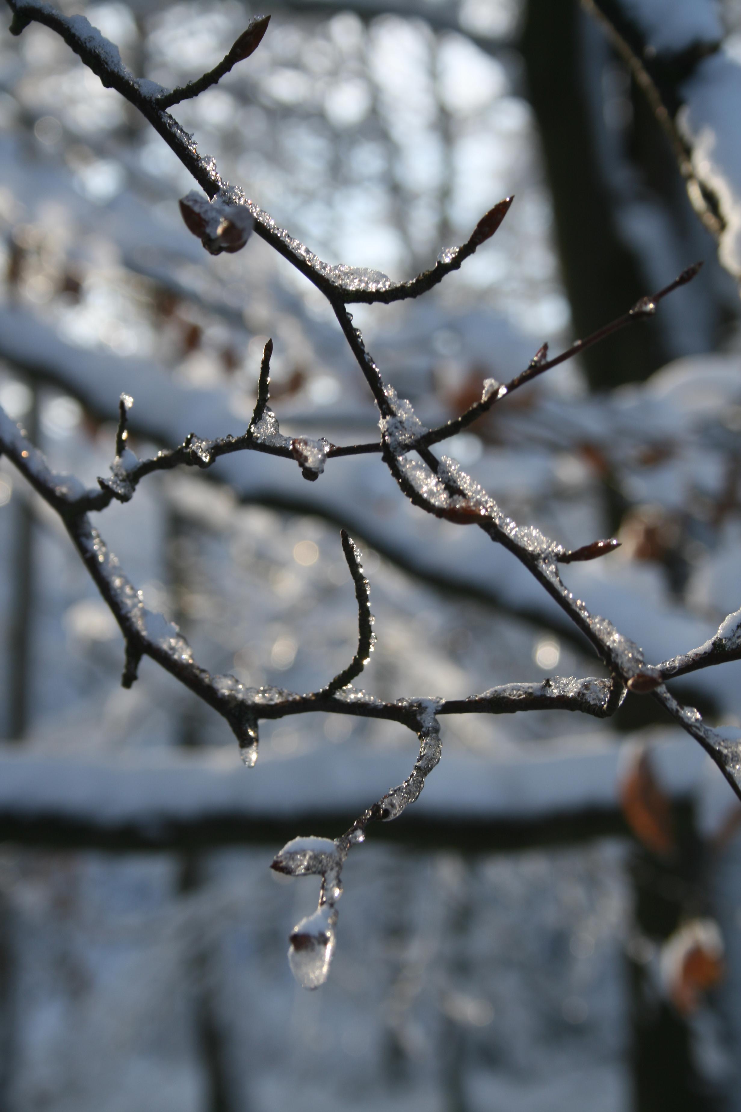 Winter 2010 7