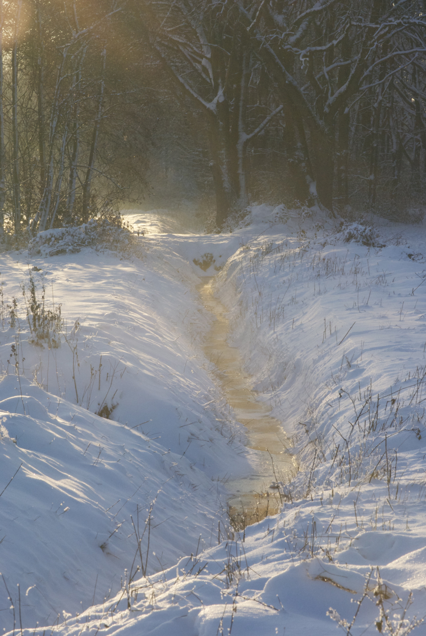 sneeuwlandschap3