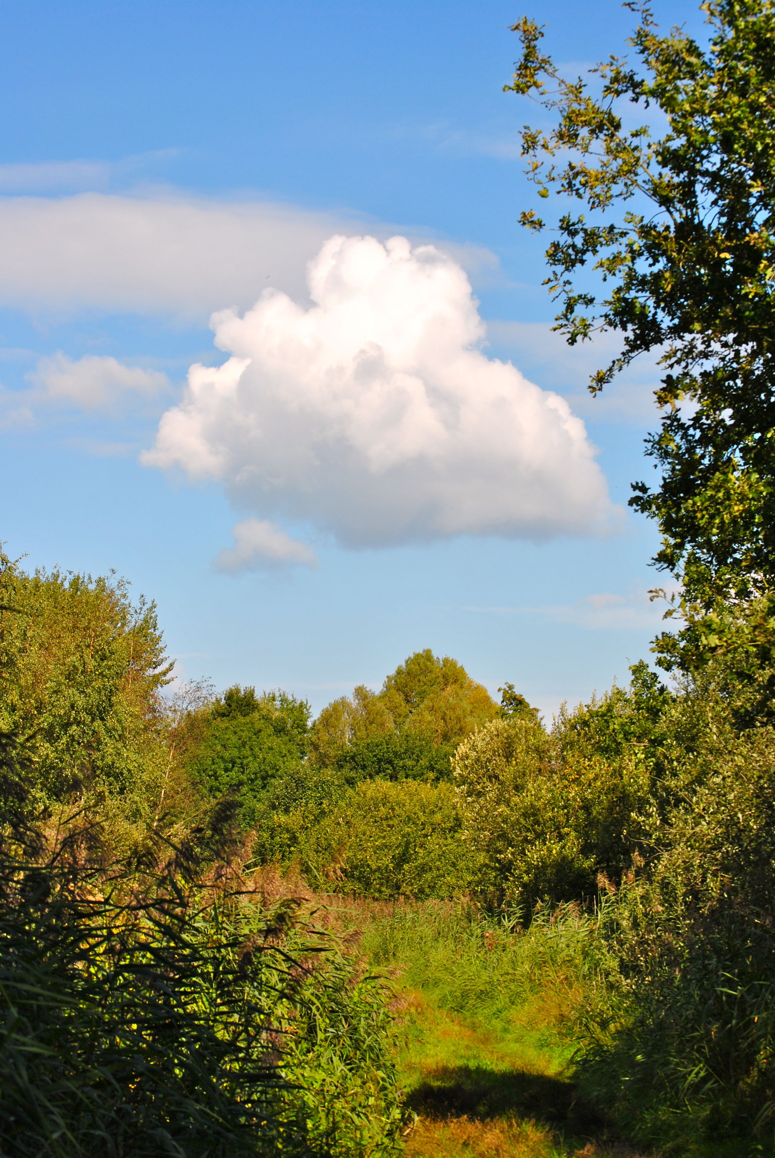 Wolkje
