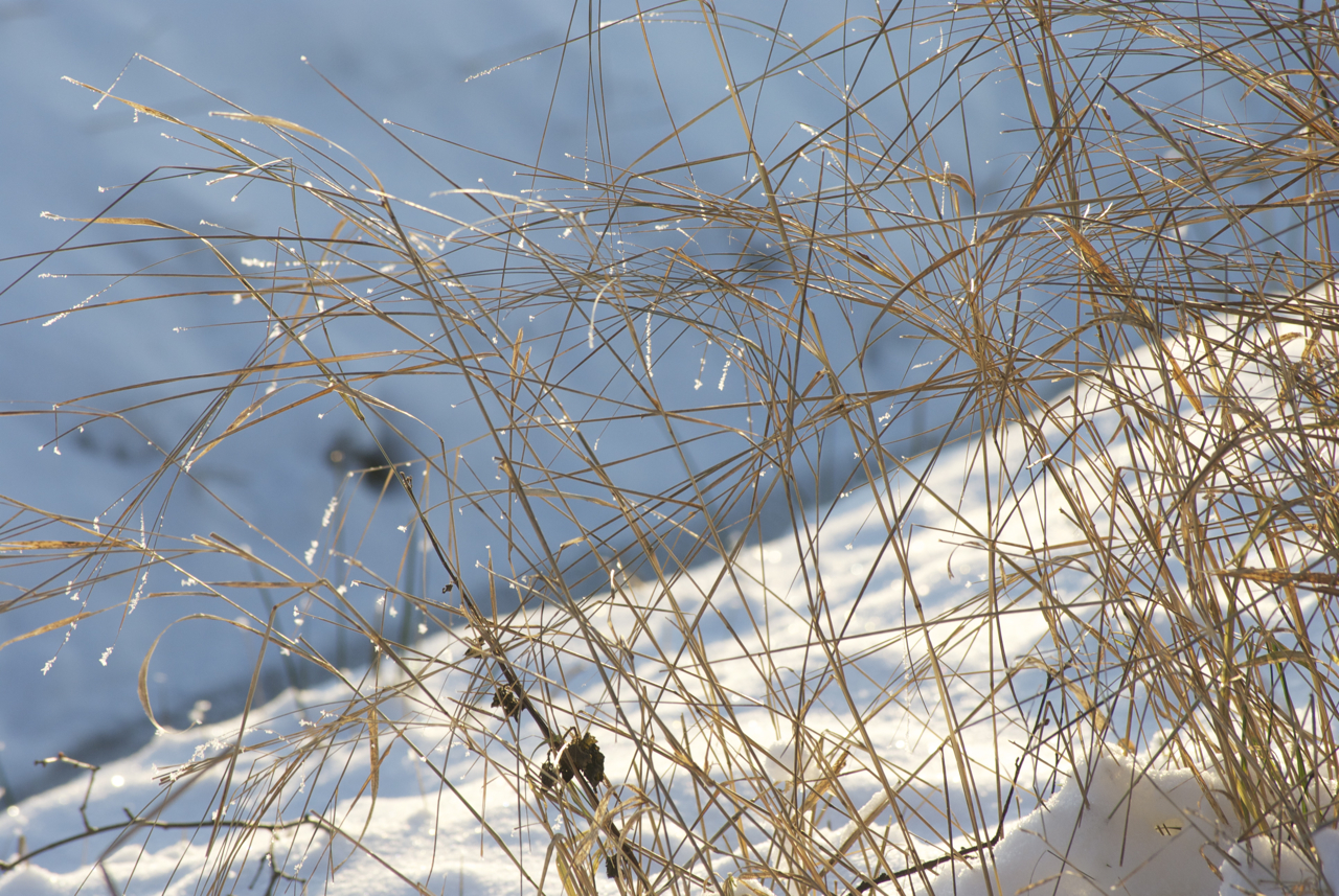 sneeuwlandschap2