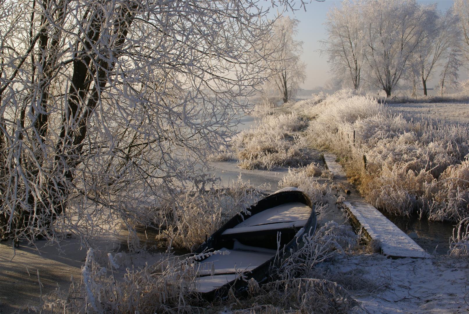 winters polderlandschap
