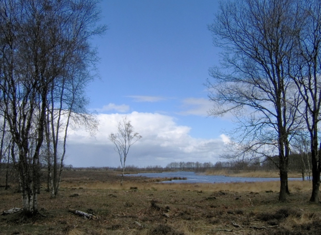 fochteloer-veen