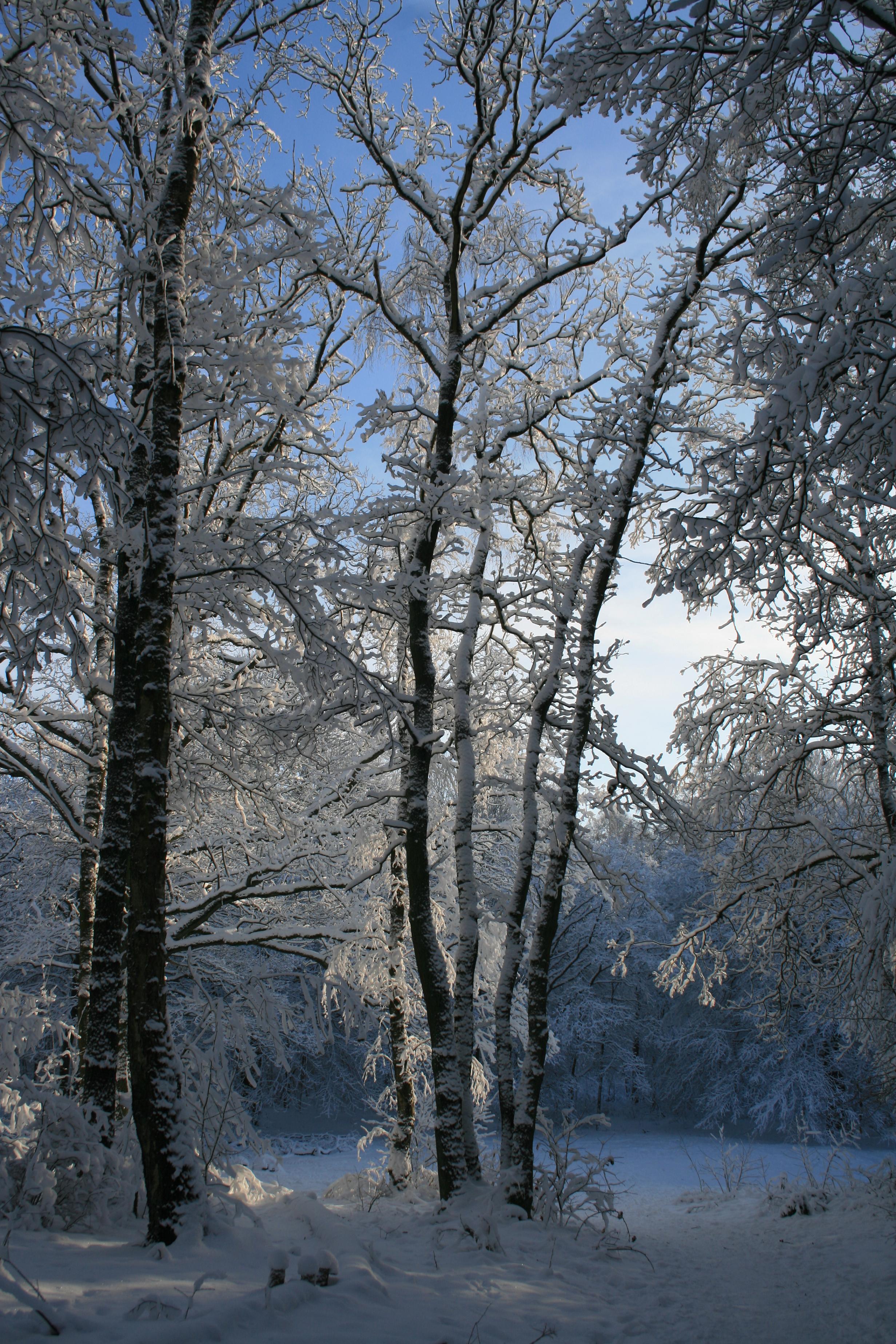 Winter 2010 5