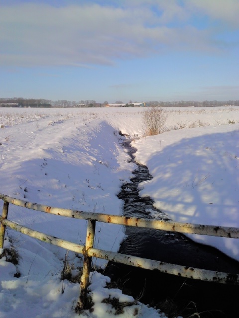 Riel, Regte Heide, Leydal, 3.1.11