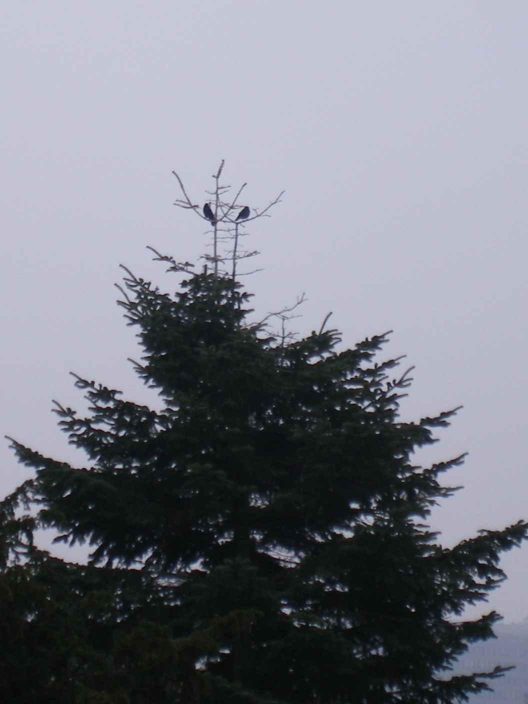 Overleg op hoog niveau