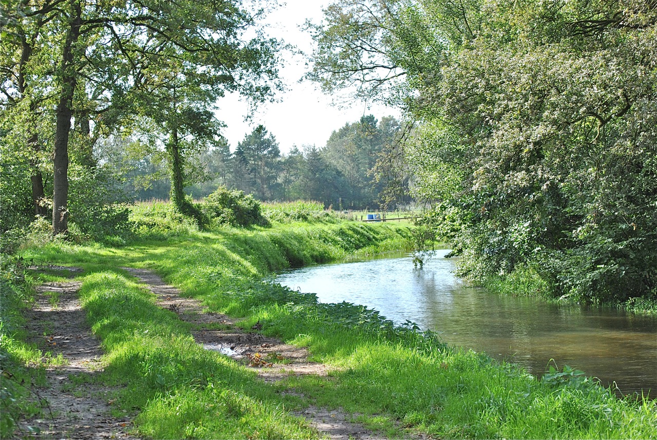 Brabants landschap