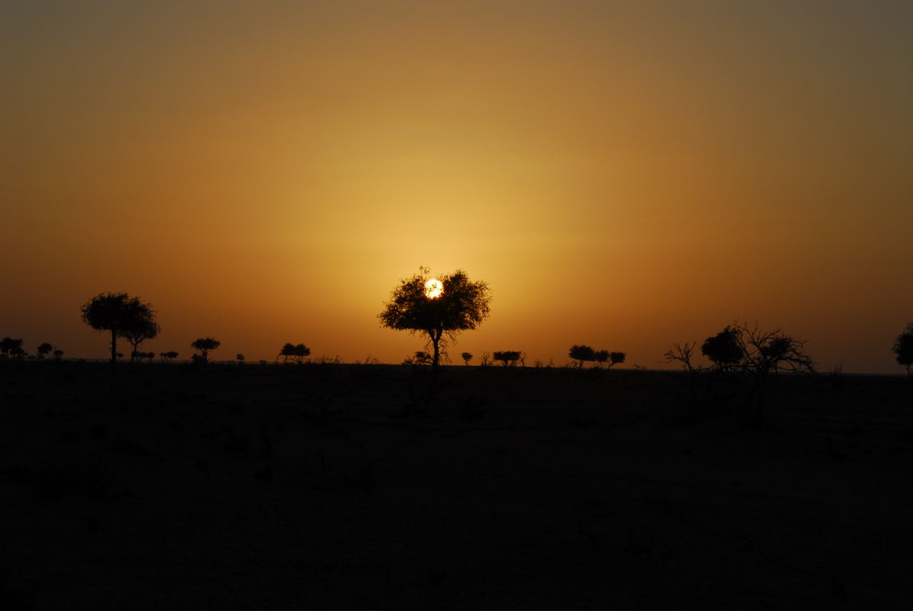 zonsondergang in woestijn 2