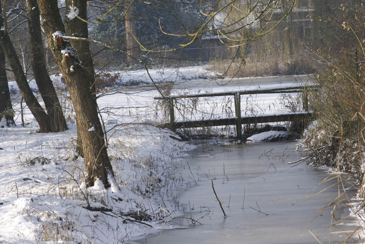 sneeuwlandschap6
