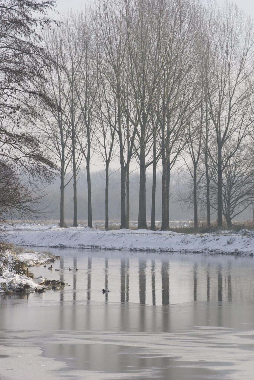 sneeuwlandschap7