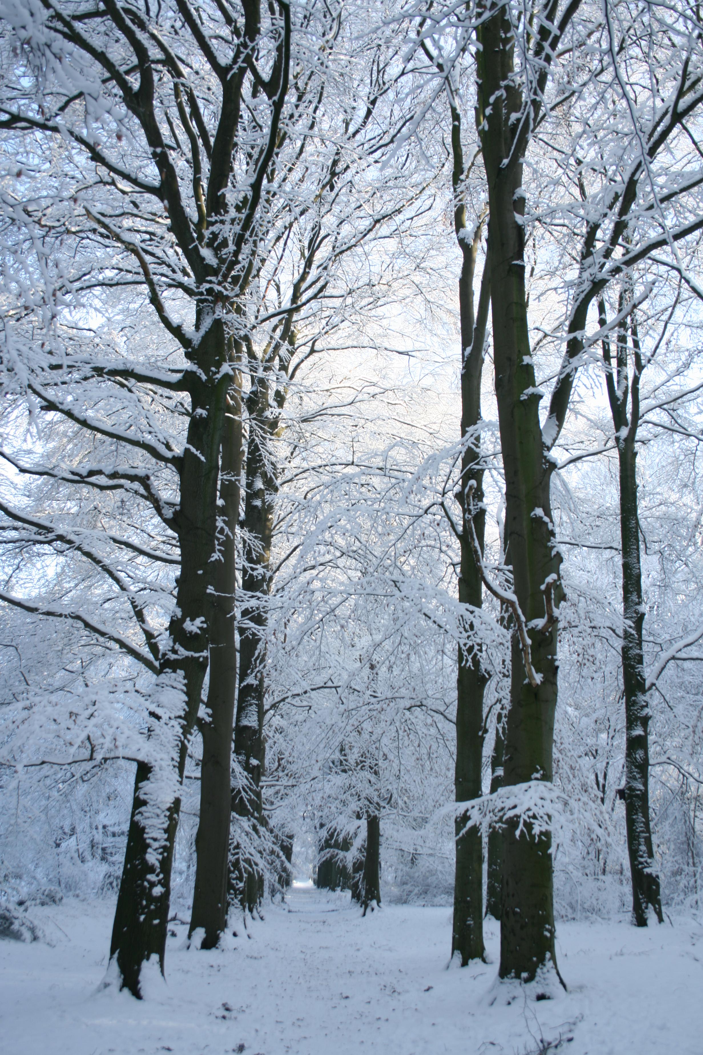 Winter 2010 2