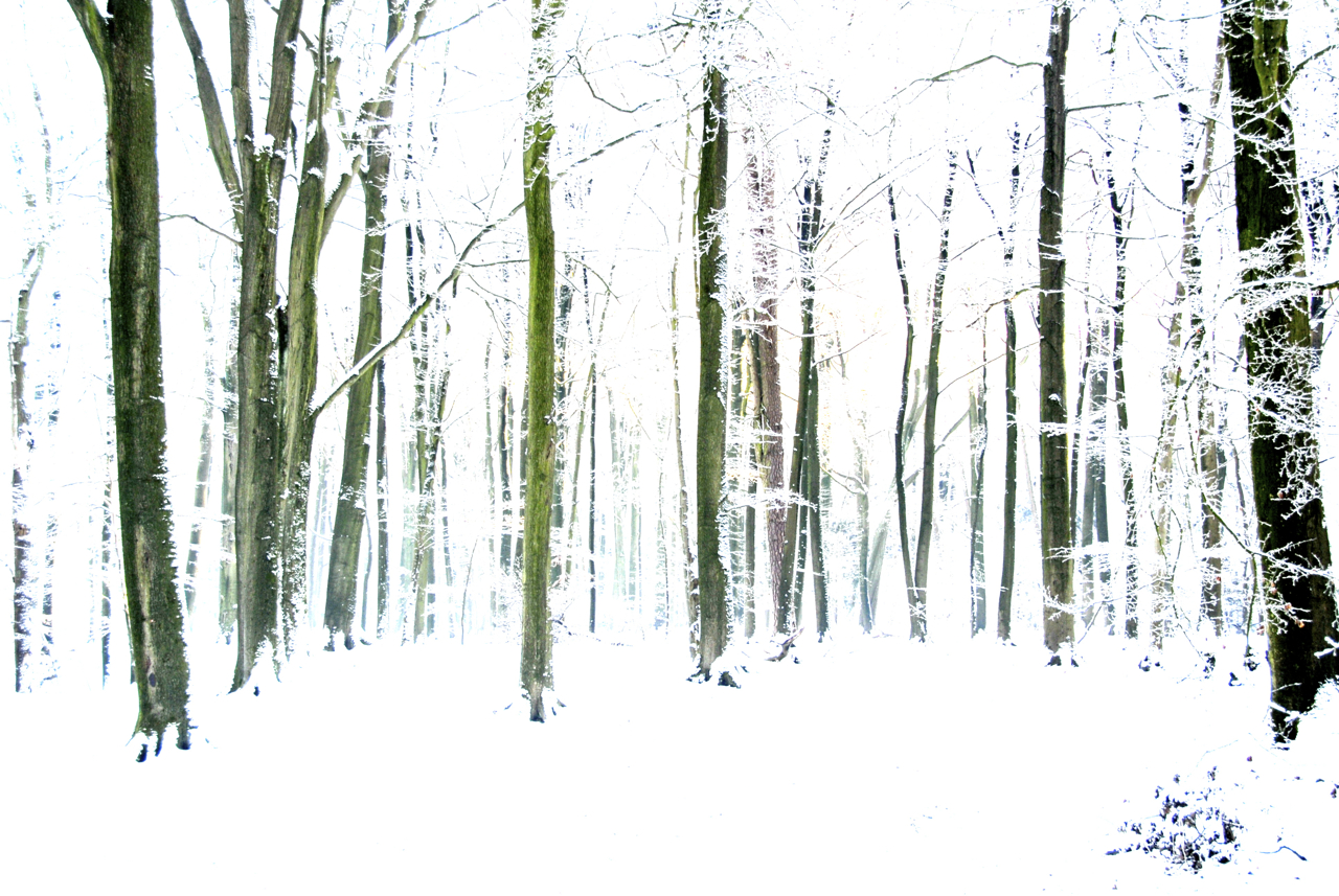 winter in winterswijk